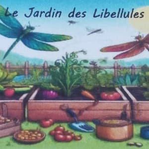 Le jardin des Libellules