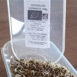 lentilles germées 100g