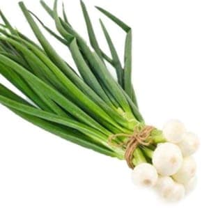 Oignons botte blanc