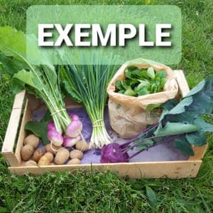 GRAND PANIER DE LA SEMAINE