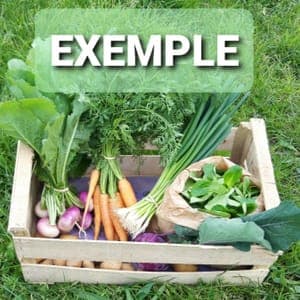 GRAND PANIER DE LA SEMAINE