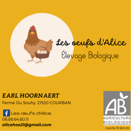 Les oeufs d'Alice #8