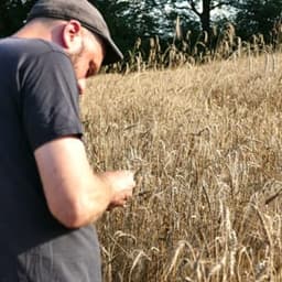 La Ferme Épi C'est Tout #5