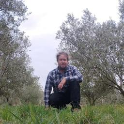 La ferme des oliviers #0