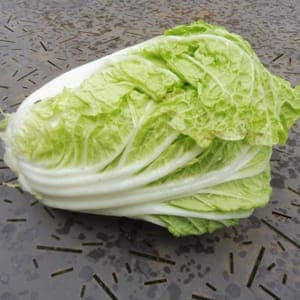 Chou Chinois