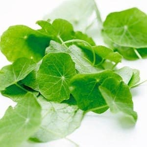 01 - Aromatiques