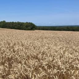 La Ferme du Rigola #2