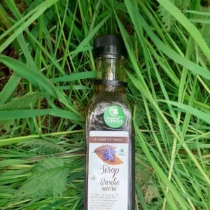 Sirop de basilic sacrée