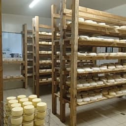 La Ferme de Kerguissal (GAEC) #8
