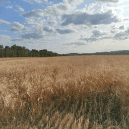 GAEC de la courbe #8
