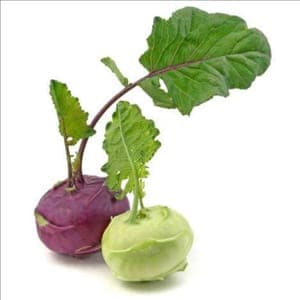Chou-rave - blanc ou violet