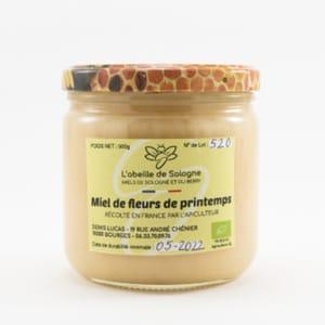 Miel de fleurs de Printemps (500g)
