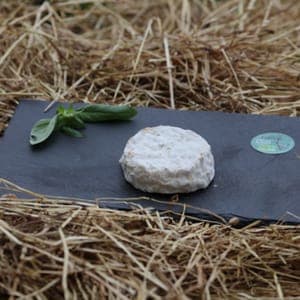 Crottin de chèvre affiné