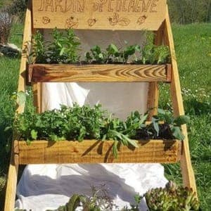 Promo de plants de fleurs