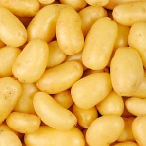 Pommes de terre nouvelles - Delikatess 