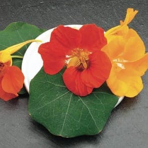 01 - Aromatiques