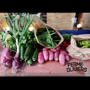 Panier de légumes 15€ BIO