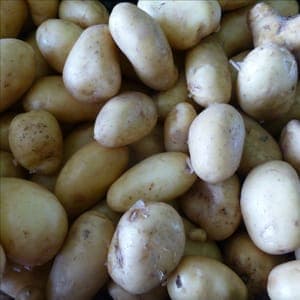 Pommes de terre nouvelles