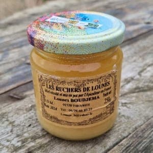 Miel de pringtemps des abeilles de la ferme