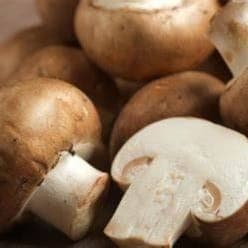 Champignons de paris bruns bio 500 gr