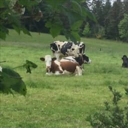 Ferme des Blancs Chardons #8