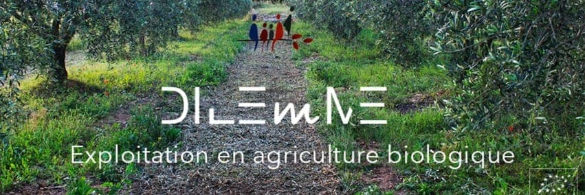 Bannière de SCEA Brunel Ayme