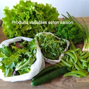 panier composé