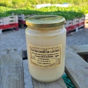 Miel de pringtemps des abeilles de la ferme