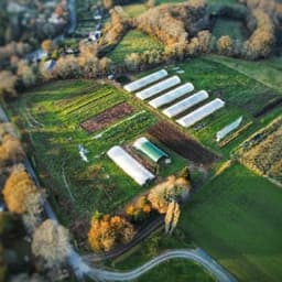 GAEC La Ferme du Lièvre Blanc #4