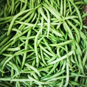 Haricots verts