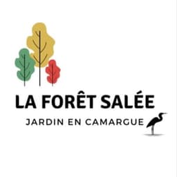 La forêt salée  #1