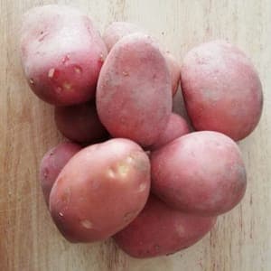 Pomme de terre "Rosabelle"