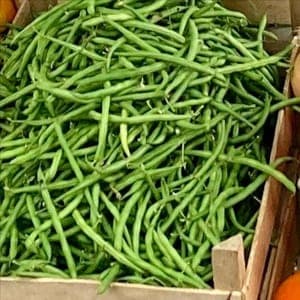 Haricot Vert