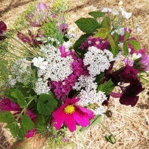 Bouquet de fleurs