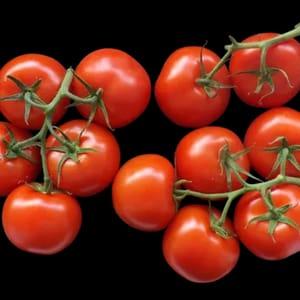 Tomate ronde rouge origine Dracy St Loup