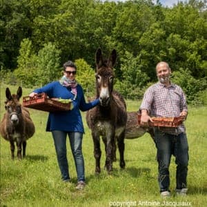 La ferme de Rémédy