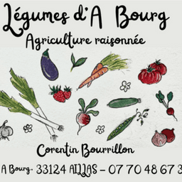 Légumes d'A Bourg #1