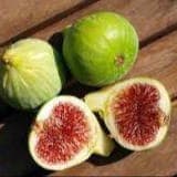 Figues blanches bio