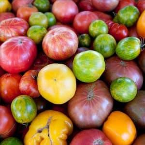 Tomates anciennes