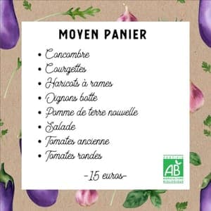 2024 - Panier de légumes bio N°30
