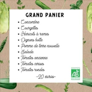 2024 - Panier de légumes bio N°30