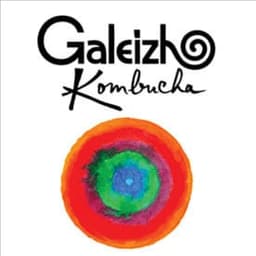 Galeizh Kombucha #4