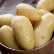 pommes de terre nouvelles Nicolas (Aigue Vive)