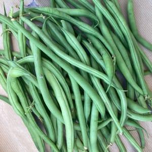 Haricot Vert