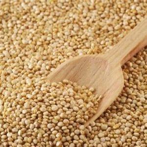 Quinoa (NORMANDIE)