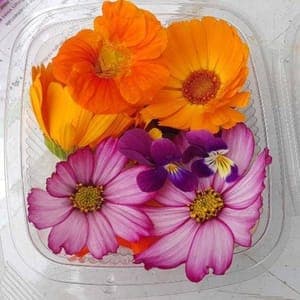 Fleurs fraîches comestibles