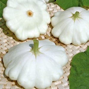 courge