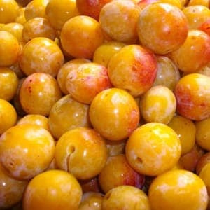 MIRABELLE
