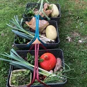 Panier famille 