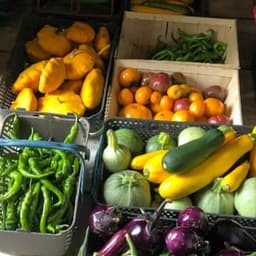 Les jardins du pré d'ambres #7